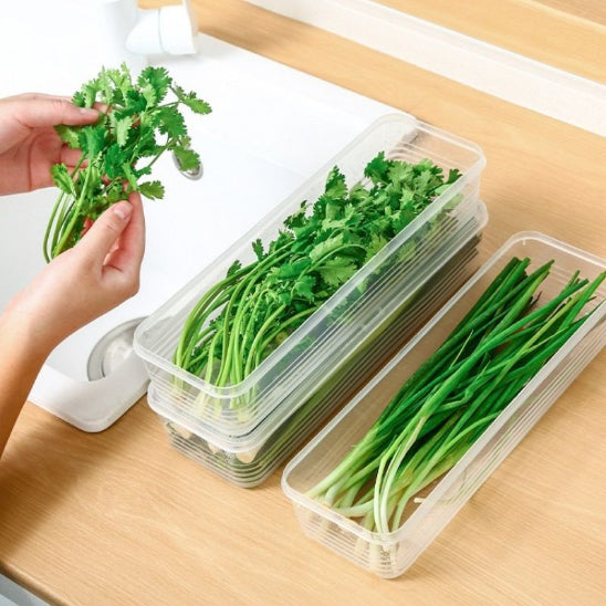 Boite-plastique-alimentaire-frais