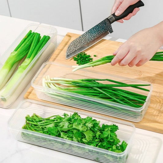 Boite plastique alimentaire | ShallotBox™