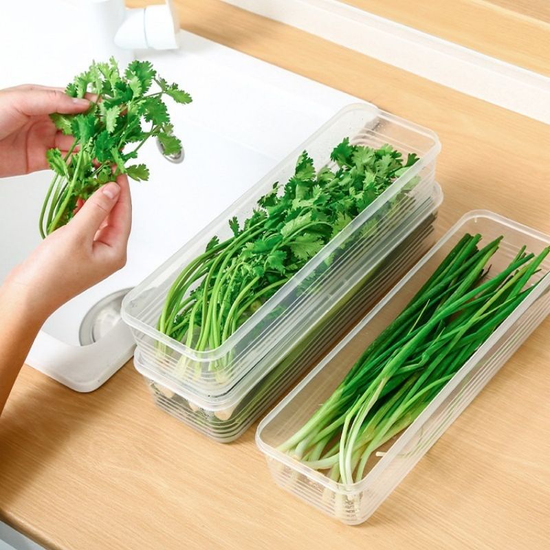 Boite plastique alimentaire | ShallotBox™
