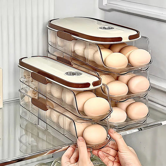 Boite-a-oeuf-frigo
