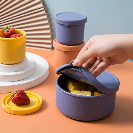 boite-pour-repas-frais