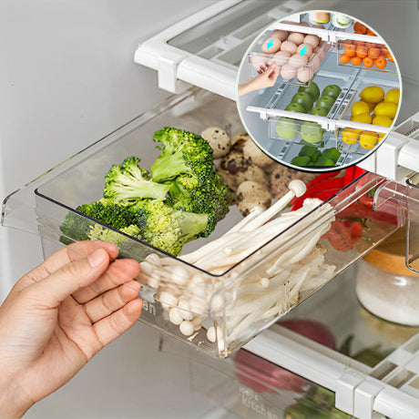 Rangement-frigo-variante